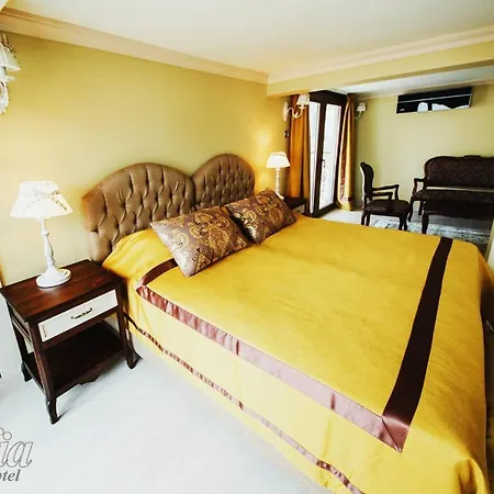 Gasthuis Room In Guest Room - Sofia Boutique Hotel 7 De Luxe Room *